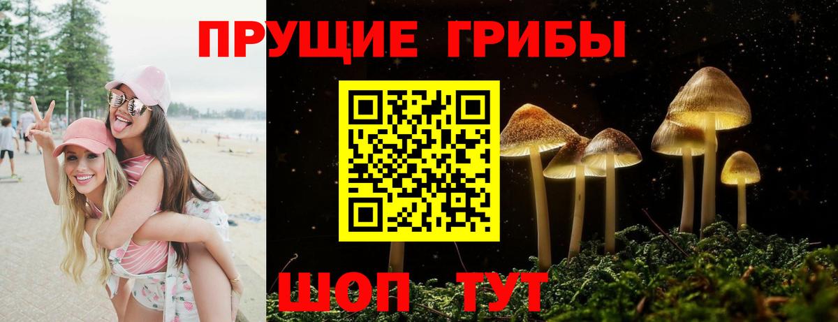 Лысьва  Галлюциногенные грибы Psilocybine cubensis  Вход с VPN 